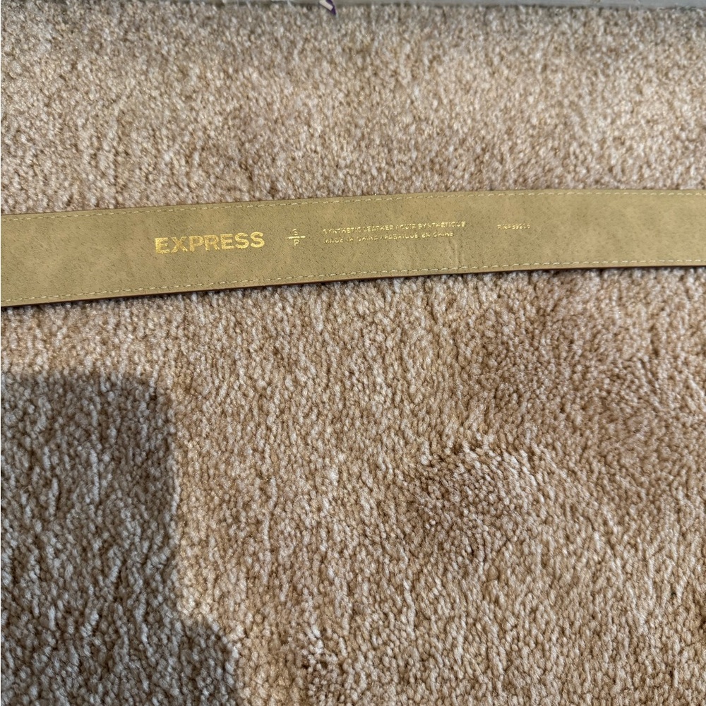 Express Belt - Picture 3 of 4